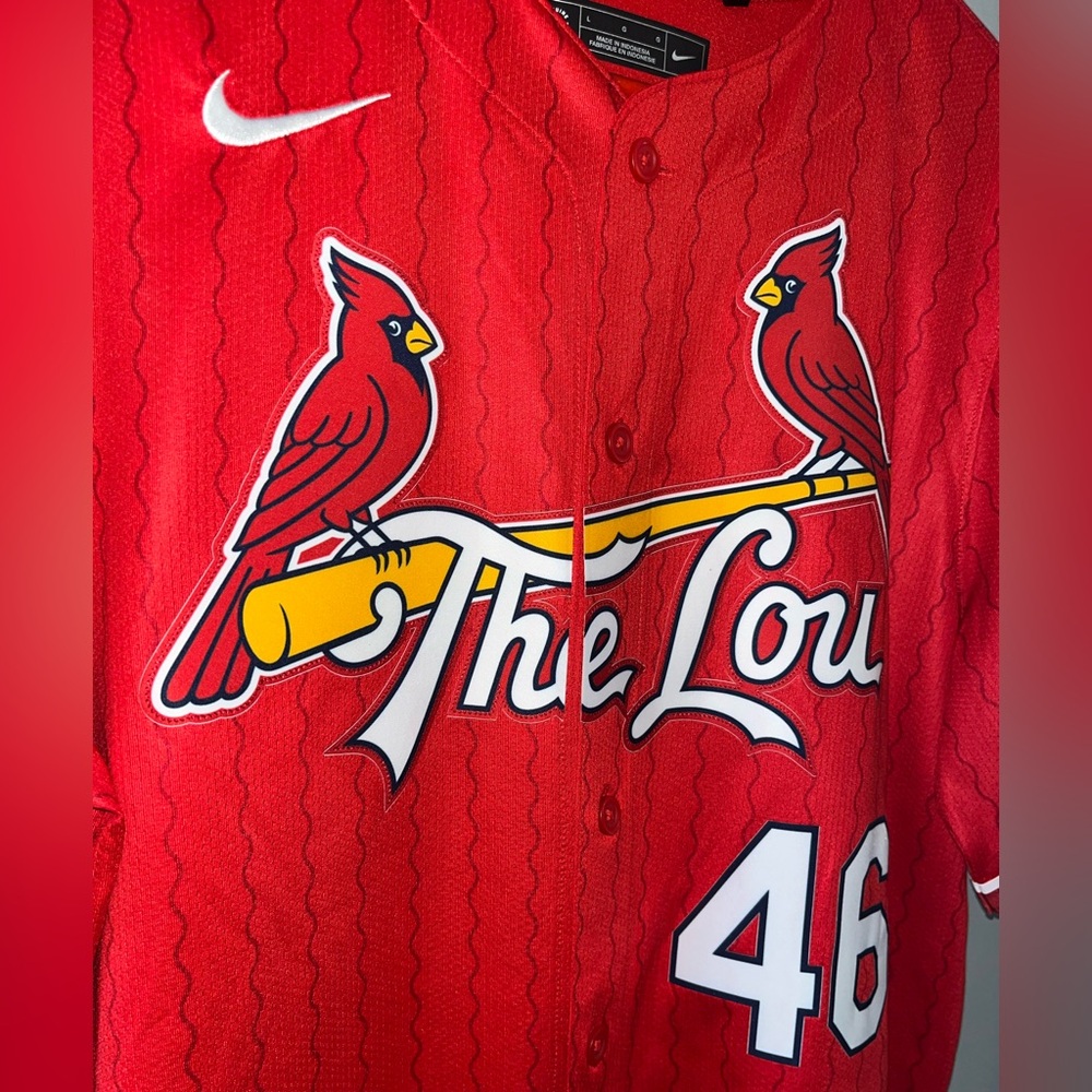 St. Louis Cardinals Nike MLB Paul Goldschmidt 2024 City Connect Baseball Jersey - Picture 4 of 8